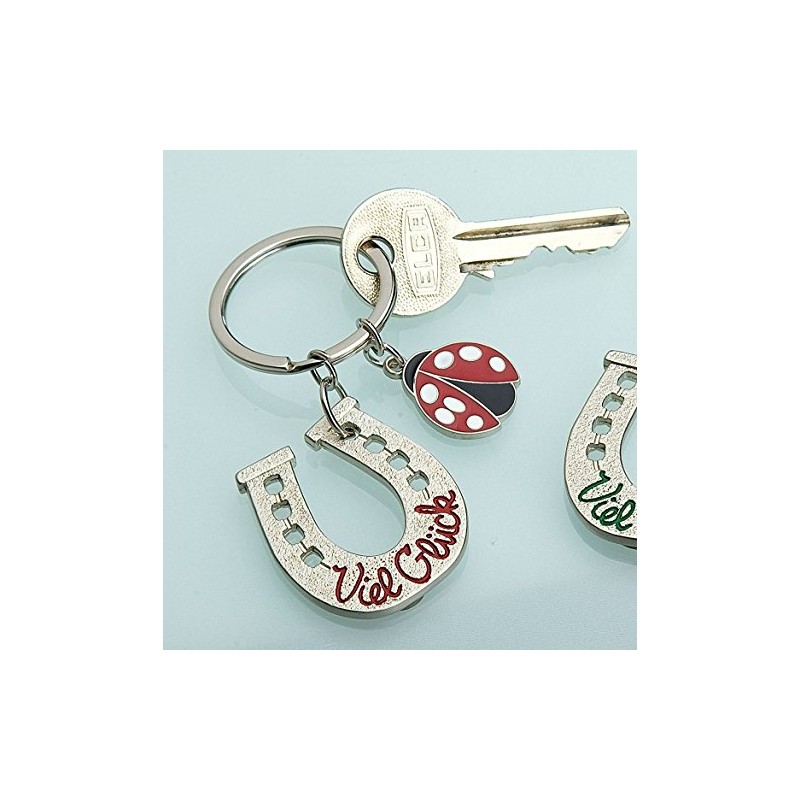 Key Chain Horseshoe with Good Luck Thereon and Ladybird Red