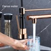 Kitchen faucet with pull-down spray, single handle double outlet commercial