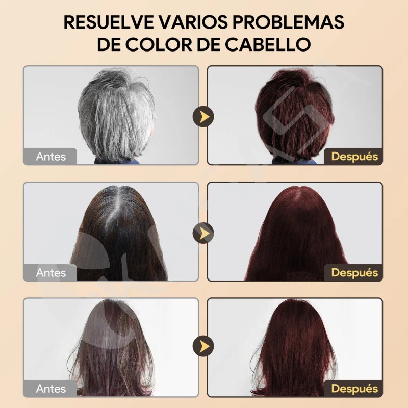 Kaisasa Shampoo Con Tinte Cubre Canas Con Aceite De Argán