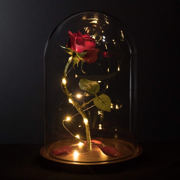 MagicPrincessWhitney Made in USA Enchanted Red Rose Life-Sized 13" LED Beauty and The Beast Rose in Glass Dome Belle Wedding Valentine's Day Christmas Mother's Quinceanera Magic Princess Whitney