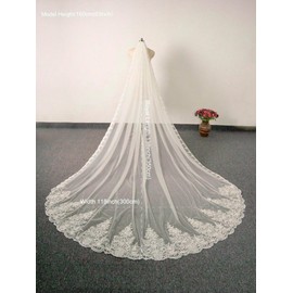 AiberLisha Royal Length 3.5M Lace Edge Wedding Bridal Veil with Metal Comb Ivory