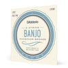 D'Addario Banjo Strings, Phosphor Bronze, EJ69B, Light Gauge 9-20, 5-String