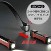 Ohm Electric LED Neck Twin Light (240 lm/AA x 2