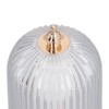 LED Night Light Multipurpose Stylish Innovative Remote Color Changing Crystal