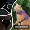 Cat Harness and Leash for Walking, The Upgrade Can be