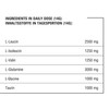 BLADE Series 100% BCAA Powder + Glutamine 500g - Amino