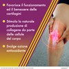 Amedial Plus, Integratore Alimentare per il Benessere delle Ossa e