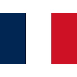 Premium Flag - 90 x 150 cm / 150 cm / 90 cm - Made of Polyester with Golden Eyelets - Durable and Weatherproof (France)