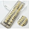 Pack of 56 False Teeth Dentures 2 Sets Synthetic Resin