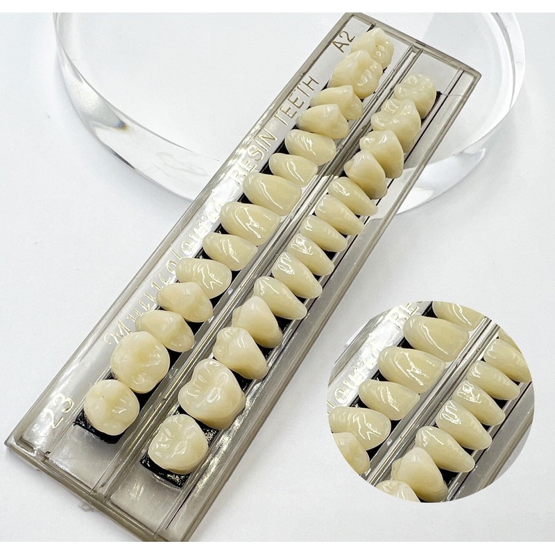 Pack of 56 False Teeth Dentures 2 Sets Synthetic Resin