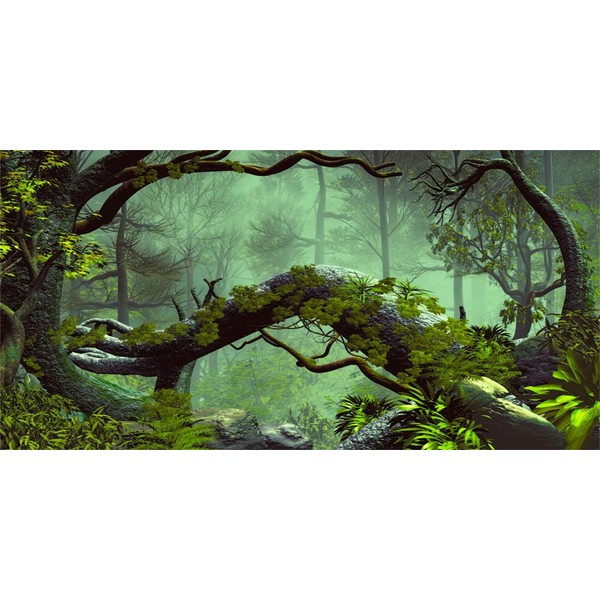 MIRRORANG 76 x 46 cm Foggy Forest Terrarium Background Stone