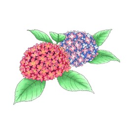 Copic Sketch, Alcohol-based Markers, 6pc Set, Floral Favorites 2