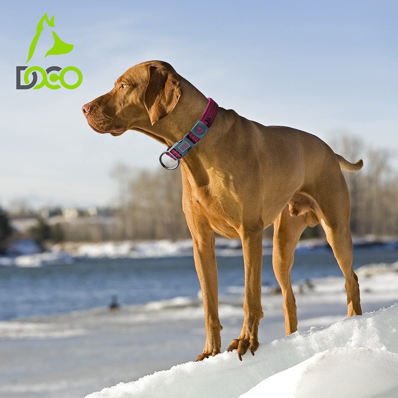 DOCO Vario O-Ring Collar with Reflective Stitching