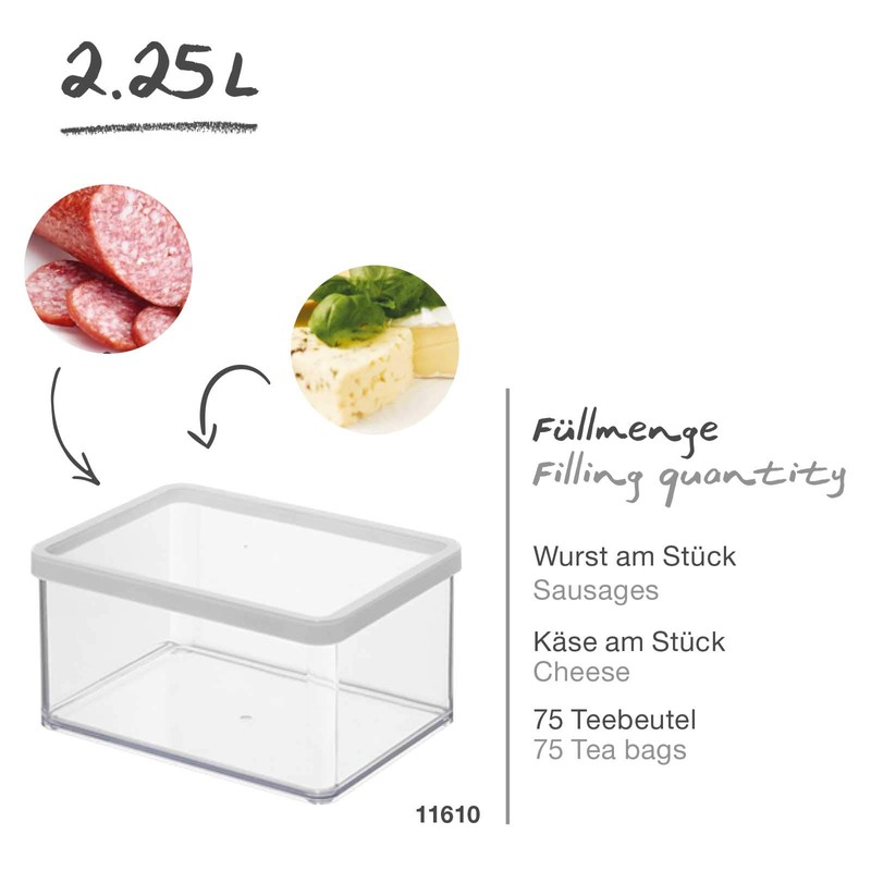 Rotho Loft Rectangular Storage Container 2.25 L with Lid and