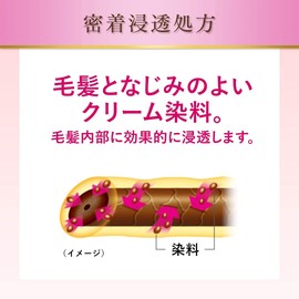 Hoyu Begen Spidy Color Cream 6 (Dark Brown) 1.4 oz (40 g) + Agent 2 1.4 oz (40 g)