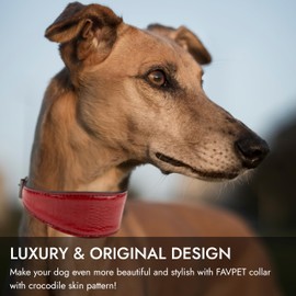 FAVPET Sighthound Wide Leather Dog Collar with ID Tag QR for Whippet Italian Greyhound Saluki Borzoi Lurcher Spanish Galgo, Luxury Dog Collars, Soft Leather Dog Collar for Sensitive Neck (Red, L)