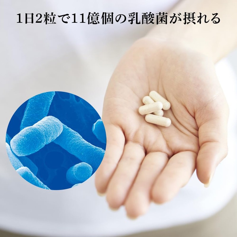 Nipponmori Plant Based Enzymes, Approx. 1 Month Supply, 62 Tablets,