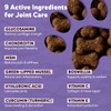 Hip and Joint Support Chews for Dogs - Glucosamine, MSM,