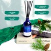 Xcleen Reed Diffusers for Home, Balsam & Cedar Diffuser with