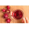 Seed-Top 50 Roselle Seeds Jamaican Sorrel Seeds Florida Cranberry Hibiscus
