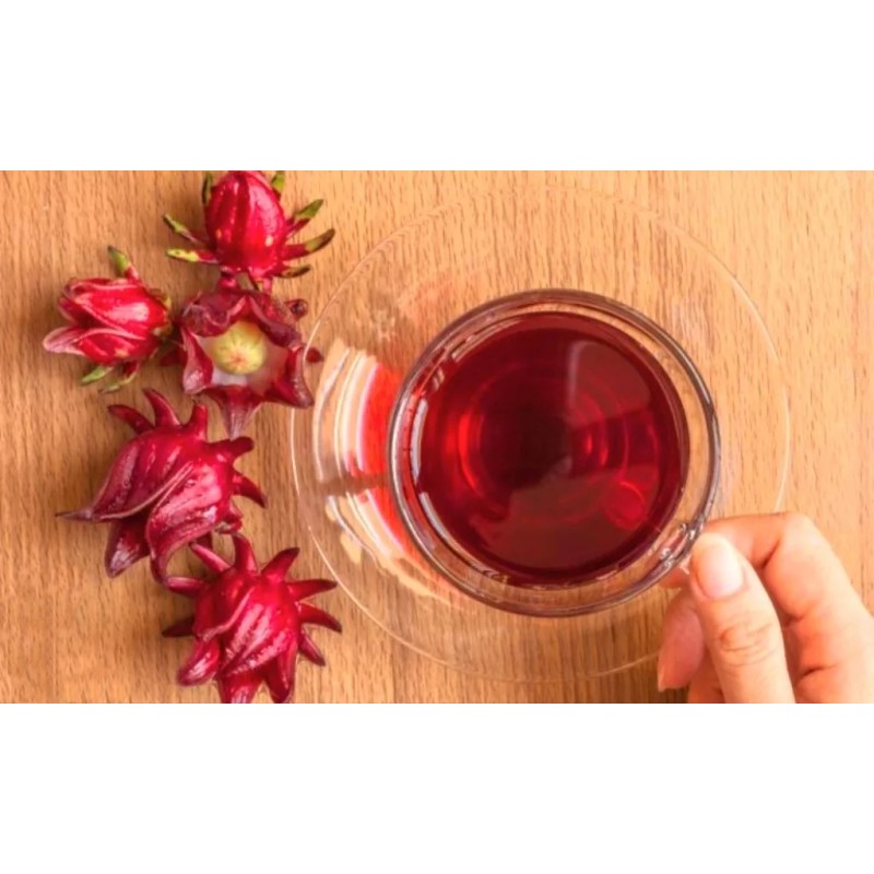 Seed-Top 50 Roselle Seeds Jamaican Sorrel Seeds Florida Cranberry Hibiscus