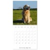 Happy Golden Retriever (Wall Calendar 2026 12" x 24" /