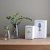 KINTO 20841 Flower Vase, Aqua Culture Base, 3.1 inches (80
