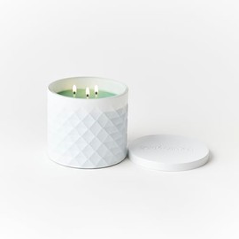 Gold Canyon Original Medium Candle, Holiday Wreath Scented Candle, 14 oz., Three Wicks, 100% Natural Soy Wax, Matte-White Jar, Notes of Pine, Balsam Fir, & Berries | 35+ Hours of Burn Time