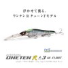 Megabass ONETEN R+3 Hi-FLOAT GG Motsugo