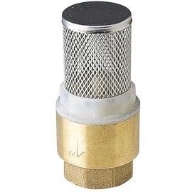 Provence Outillage 02211 with Strainer Filter Brass 1 Inch Gold