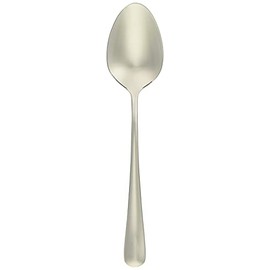18-8 Stainless Steel Oakland Teaspoon