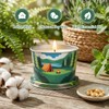 DL DREAMY DEWLA Citronella Candles Outdoor, Soy Wax 2.2 oz