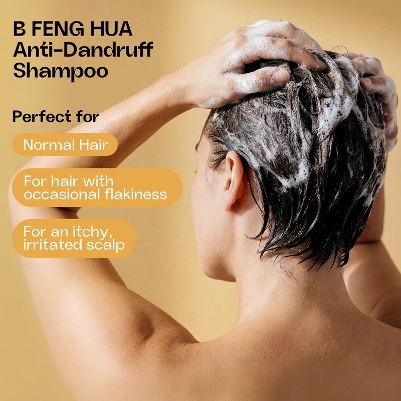 B FENG HUA Anti Dandruff Shampoo Oil & Flake Control