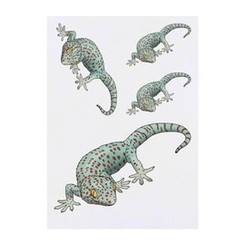 4 x 'Tokay Gecko' Temporary Tattoos - Water Resistant, Skin-Safe, Non-Toxic Transfers, Mixed Sizes (TO00072062)