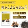 シードコムス 黒ゴマセサミン & 発酵黒ニンニク サプリメント (約1ヶ月分 60粒)