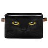 Storage Basket Cube Animal Black Cat Large Collapsible Toys Storage