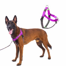 APDEXY Freedom No Pull Dog Harness, Designed for Hound Dog Train, Easy Walk with 2 Stainless D-Rings, Sewn-in Instructions Tags for Easy Use, for Large Dogs Weight 60-80 lbs (Purple, L)
