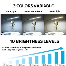 lishumei Desk Lamp with Clamp, 3 Modes 10 Brightness 360° Rotation Eye-Caring Reading Light,8W Long Flexible Gooseneck, Architect Task Lamp, USB Clamp Light for Home Office Manicure Reading