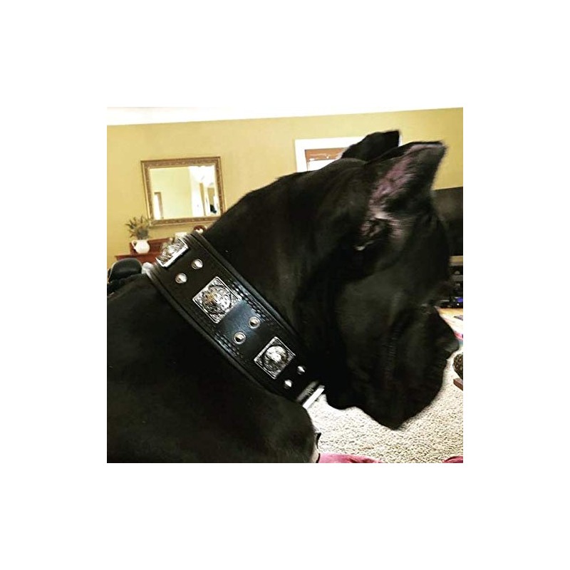 Bestia® Eros Leather Collar for Large Dog Breeds with Antique