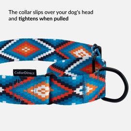 CollarDirect Aztec Martingale Collars for Dogs Heavy Duty Tribal Pattern Safety Nylon Training Collar Large Medium Small (Blue Geometric, XL, Neck Size 19"-24")