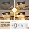 NOVELUX 2.5 in E17 Intermediate Base LED Filament Bulb 360