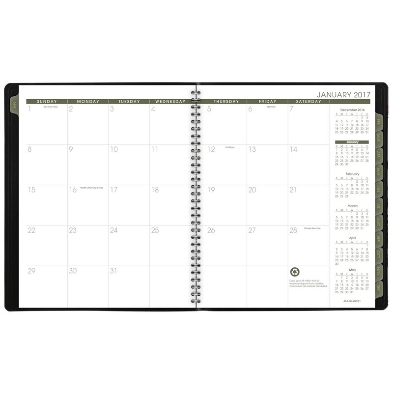 At-A-Glance – Calendario mensual planificador/Nombramiento libro 2017, 8 – 7/20,3