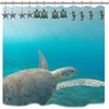 Beach Shower Curtain Hooks Rings - Rustproof Shower Curtain Hangers