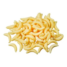 UUYYEO 300 Pcs 2cm Fake Worms for Fishing Bass Plastic Realistic Fishing Lures Wax Worms Soft Maggots Fishing Bait Silicone Larva Wiggler Lure Baits