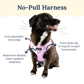 Lucy & Co. The Bouquet No-Pull Dog Harness – Size Large – Vest to Stop Pulling & Walk Easy – Comfortable Leash Training Product w/Adjustable Chest & Neck Straps