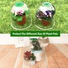 Vumdua Cloche Garden Dome, 6 Pack Plant Covers, Clear Plastic