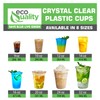 [100 COUNT] 10 oz Clear Plastic Disposable Pet Cups |