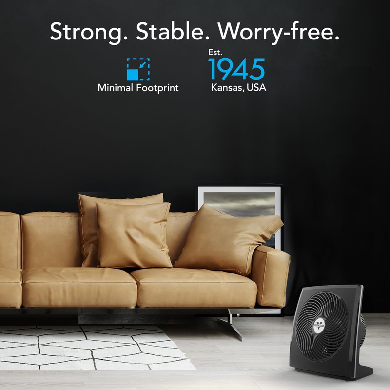 Vornado 673T Whole Room Air Circulator Fan with Pivoting Head,