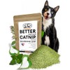 Fiend Catnip + Silvervine for Cats & Kittens Enhanced with