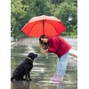 Rain Pants,4PCS Disposable Rain Pants With Shoe Cover,Disposable Raincoat With